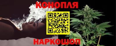 сатива Донецк