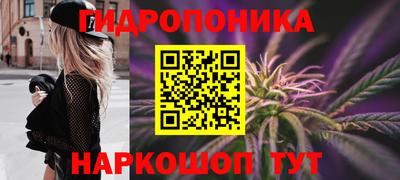 спиды Дубна