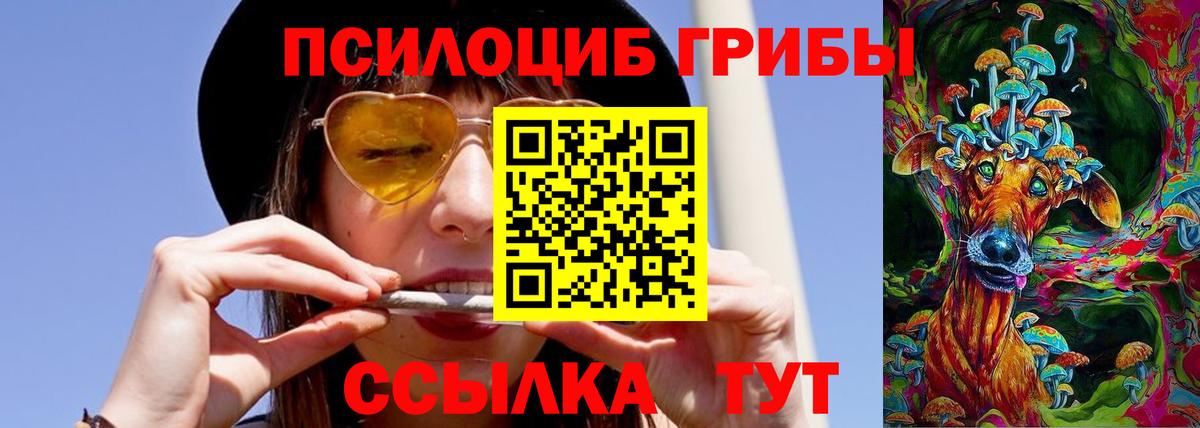 Псилоцибиновые грибы мухоморы Комсомольск-на-Амуре