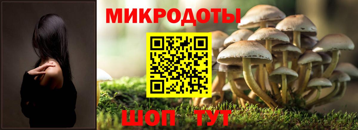 Псилоцибиновые грибы мицелий  Галлюциногенные грибы прущие грибы  Комсомольск-на-Амуре  Вход с VPN 